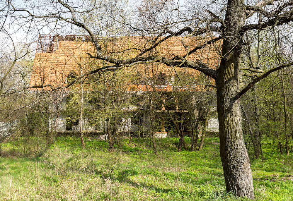 old abandoned house woods overgrown with plants